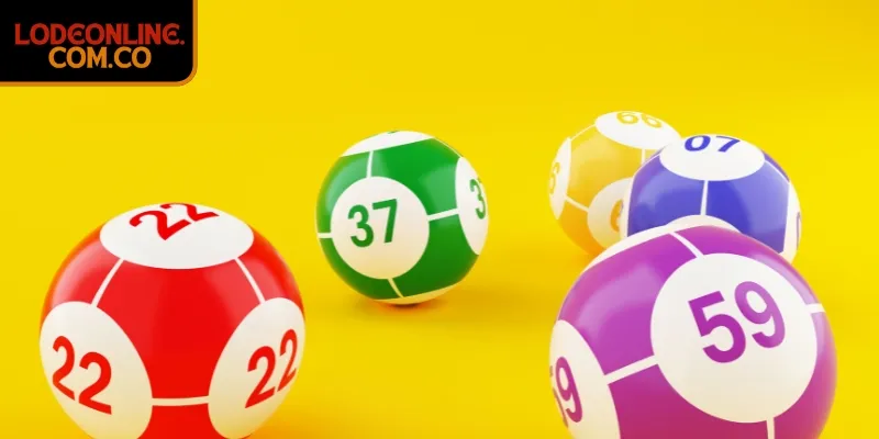 Xác định cầu bền từ bảng kết quả 5 ngày